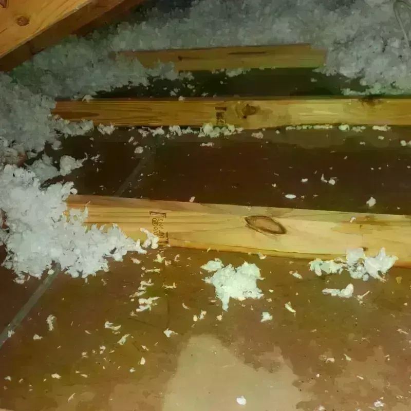 Attic Water Damage in Cleona, PA